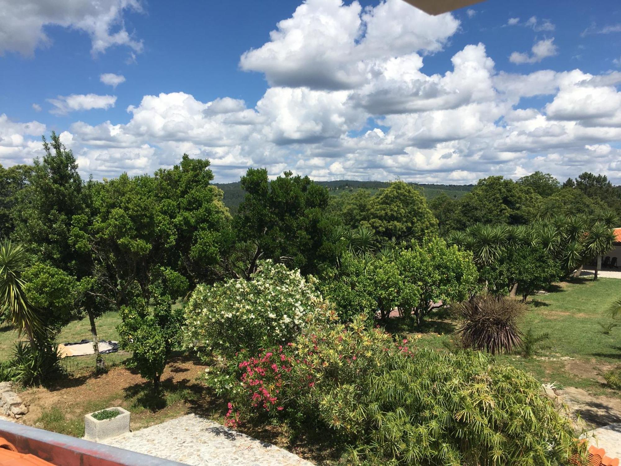 Quinta De Mocamedes - Turismo De Habitacao Hotel Воузела Екстериор снимка